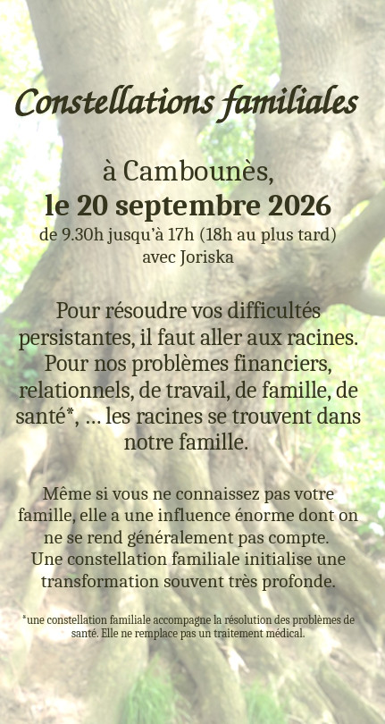 Constellations Familiales avec Joriska